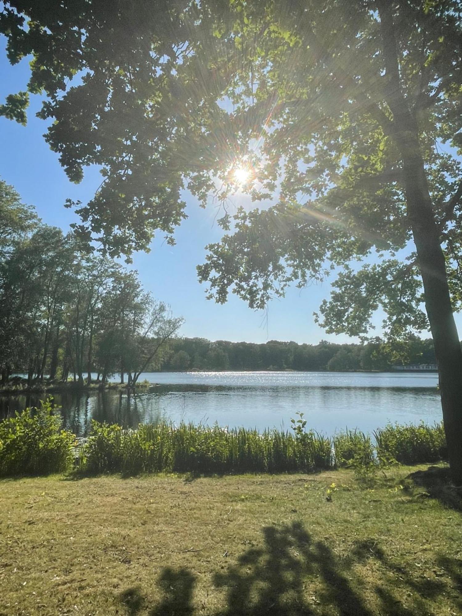 Boshuisje Pinus Sonnevijver Residences Lanaken Buitenkant foto